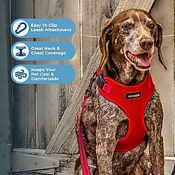 Best Pet Supplies Voyager Step-in Air Dog & Cat Harness, Red, Large slide 2 of 8