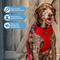 Show in main carousel: Best Pet Supplies Voyager Step-in Air Dog & Cat Harness, Red, Large slide 5 of 9