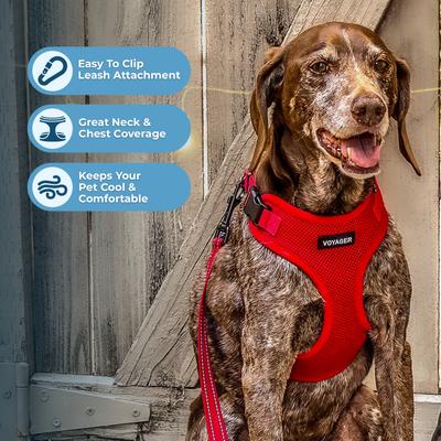 Show full view: Best Pet Supplies Voyager Step-in Air Dog & Cat Harness, Red, Large slide 5 of 9