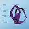 Show in main carousel: Best Pet Supplies Voyager Step-in Air Dog & Cat Harness, Purple, Small slide 3 of 9