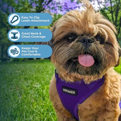 Show full view: Best Pet Supplies Voyager Step-in Air Dog & Cat Harness, Purple, Small slide 5 of 9