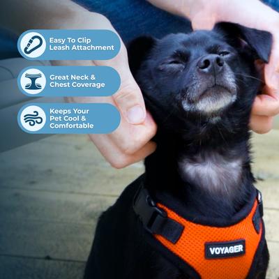 Show full view: Best Pet Supplies Voyager Step-in Air Dog & Cat Harness, Orange with Black Trim, Small slide 6 of 10