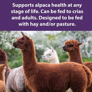 Mazuri Alpaca Care Crumbles Alpaca Food, 40-lb bag