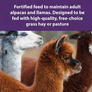 Mazuri Alpaca Performance Alpaca Food, 40-lb bag