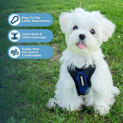 Show full view: Best Pet Supplies Voyager Step-in Air Dog & Cat Harness, Royal Blue with Black Trim, Small slide 5 of 9