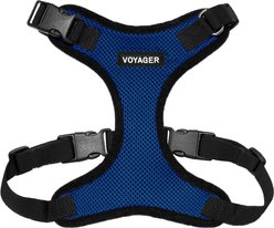Best Pet Supplies Voyager Step-in Air Dog & Cat Harness, Royal Blue with Black Trim, Small