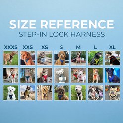 Best Pet Supplies Voyager Step-in Air Dog & Cat Harness, Pink, Medium slide 2 of 8