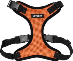 Best Pet Supplies Voyager Step-in Air Dog & Cat Harness, Orange with Black Trim, Small