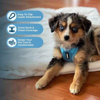 Show full view: Best Pet Supplies Voyager Step-in Air Dog & Cat Harness, Baby Blue, Medium slide 5 of 9