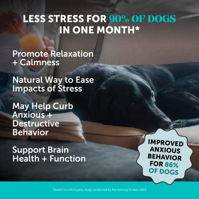 Show full view: Pet Honesty Hemp Calming Max-Strength Duck Flavored Melatonin, Ashwaganda & L-Theanine Chews Calming & Anxiety Supplement for Dogs, 270 count slide 3 of 13