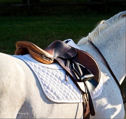 Show full view: ThinLine Trifecta Cotton Horse Half Saddle Pad, White, Large slide 3 of 3
