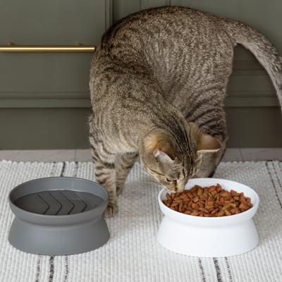 Show full view: Kitty City Slow-Feed Elevated Cat Bowls, White & Grey, 6.5-oz, 2 count slide 7 of 12