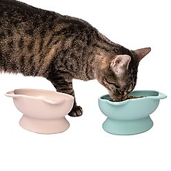 Kitty City Cat Ear Elevated Cat Bowls, Pink & Teal Blue, 6.5-oz, 2 count slide 2 of 7