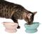 Show in main carousel: Kitty City Cat Ear Elevated Cat Bowls, Pink & Teal Blue, 6.5-oz, 2 count slide 3 of 12