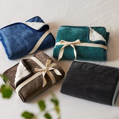 Show full view: Bedsure Waterproof Sherpa Fleece Reversible Furniture Protector Dog & Cat Throw Blanket, Blue, Queen slide 6 of 8