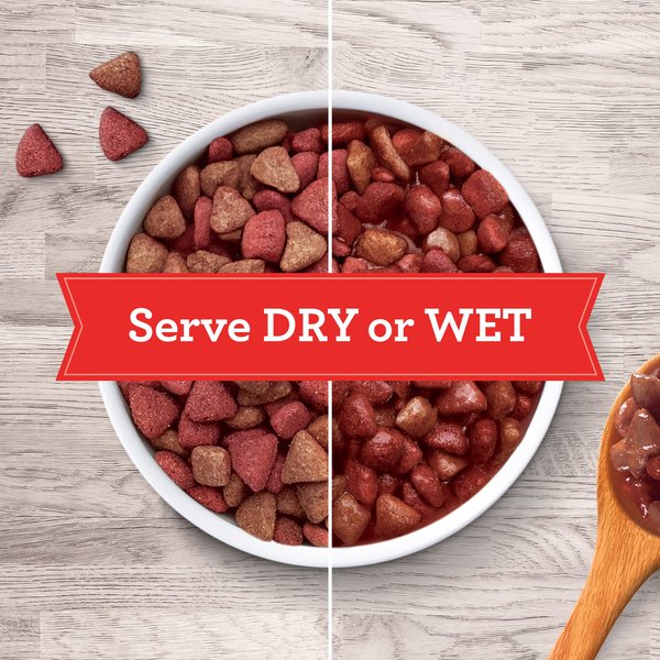 Gravy Train Small Bites Beefy Classic Dry Dog Food