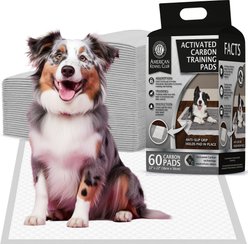 American Kennel Club Charcoal Puppy Training Pads, 22 x 22-in, 60 count slide 1 of 8