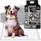 Show in main carousel: American Kennel Club Charcoal Puppy Training Pads, 22 x 22-in, 60 count slide 1 of 9