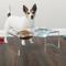 Show in main carousel: Pet Adobe Elevated Acrylic Stand Plastic Dog Bowl Set, Clear, 6.5-cup slide 1 of 7