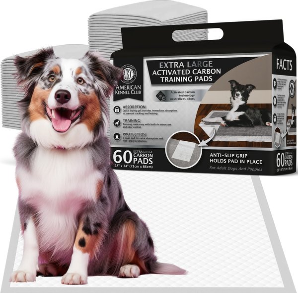 Activated Charcoal Chewy Potty Pads AMERICAN KENNEL CLUB Charcoal