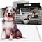Show in main carousel: American Kennel Club Charcoal Puppy Training Pads, 34 x 28-in, 60 count slide 1 of 9