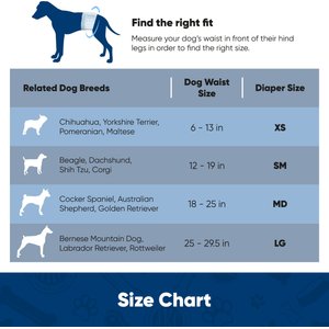 American Kennel Club Disposable Male Dog Wraps with Wetness Indicator, 50 count, Small