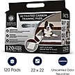 Show in main carousel: American Kennel Club Charcoal Puppy Training Pads, 22 x 22-in, 120 count slide 2 of 9