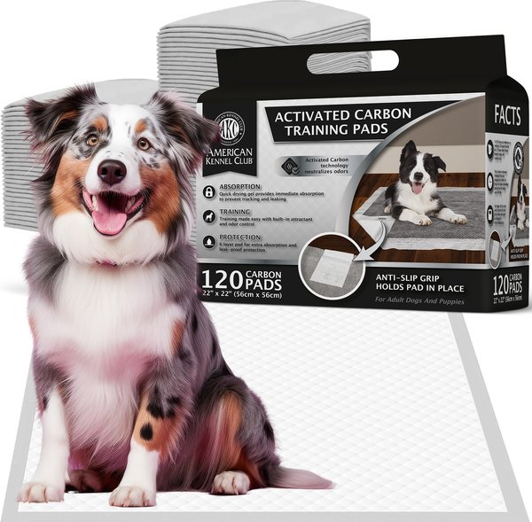 Show full view: American Kennel Club Charcoal Puppy Training Pads, 22 x 22-in, 120 count slide 1 of 9