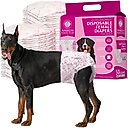 American Kennel Club Disposable Female Dog Wraps with Wetness Indicator, 50 count, Large