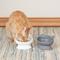 Show in main carousel: Kitty City Cat Ear Elevated Cat Bowls, White & Grey, 6.5-oz, 2 count slide 4 of 12