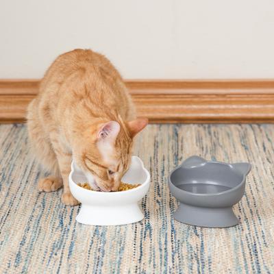 Show full view: Kitty City Cat Ear Elevated Cat Bowls, White & Grey, 6.5-oz, 2 count slide 4 of 12