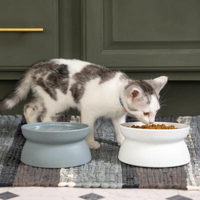 Show full view: Kitty City Slow-Feed Elevated Cat Bowls, White & Grey, 6.5-oz, 2 count slide 2 of 12