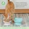 Show in main carousel: Kitty City Cat Ear Elevated Cat Bowls, Pink & Teal Blue, 6.5-oz, 2 count slide 7 of 12