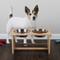 Show in main carousel: Pet Adobe Elevated Bamboo Stand Stainless Steel Dog Bowl Set, Natural, 5.5-cup slide 5 of 7