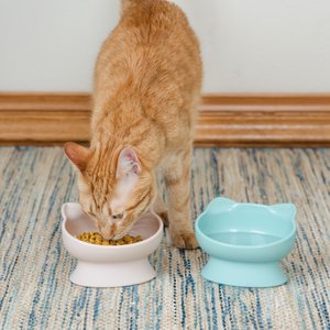 Kitty City Cat Ear Elevated Cat Bowls, Pink & Teal Blue, 6.5-oz, 2 count