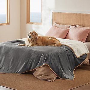 Bedsure Waterproof Sherpa Fleece Reversible Furniture Protector Dog & Cat Throw Blanket, Grey, Queen