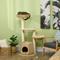 Show in main carousel: PawHut Kitty Activity Center 47-in Plush Cat Tree, Natural Wood slide 2 of 9
