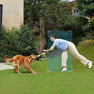 Eufy SoloCam S220 Solar-Powered Dog & Cat Camera