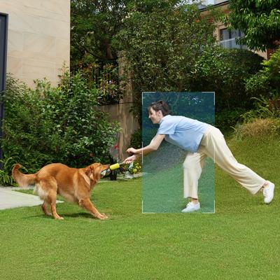 Show full view: Eufy SoloCam S220 Solar-Powered Dog & Cat Camera slide 6 of 11