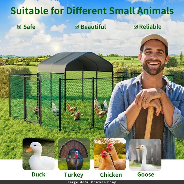 Wisfor Walk-in Chicken Coop