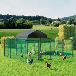 Wisfor Walk-in Chicken Coop