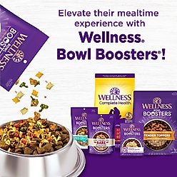 Wellness Bowl Boosters Hearty Toppers Chicken Wet Dog Toppers, 5.5-oz bag, 12 count slide 2 of 8