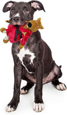 Show full view: Teenage Mutant Ninja Turtles Squeaky Retro Splinter Dog Chew Toy slide 3 of 7