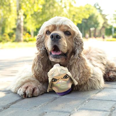 Show full view: Teenage Mutant Ninja Turtles Squeaky Shredder Ball Dog Plush Toy slide 3 of 6