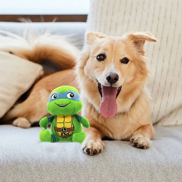 Show full view: Teenage Mutant Ninja Turtles Squeaky Leonardo Dog Plush Toy slide 3 of 7