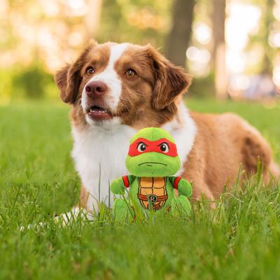 Show full view: Teenage Mutant Ninja Turtles Squeaky Rafael Dog Plush Toy slide 3 of 8