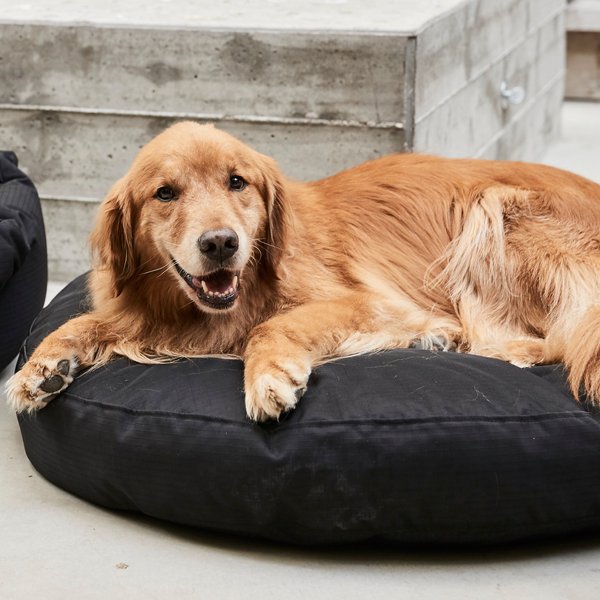 Show full view: K9 Ballistics Tough Ripstop Round Pillow Dog Bed, Sage Green, Large slide 4 of 8