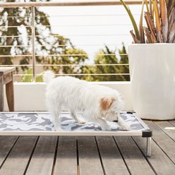 K9 Ballistics Chew Proof Armored Ripstop Elevated Dog Bed, Sandstone, X-Large slide 2 of 6