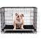 Show in main carousel: K9 Ballistics Chew Proof Armored Padded Elevated Dog Bed, Blue Quartz, Medium slide 6 of 11