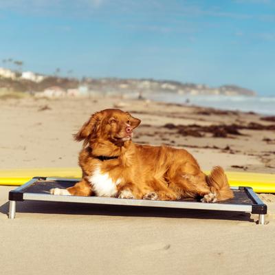 Show full view: K9 Ballistics Chew Proof Armored Mesh Elevated Dog Bed, Black Mesh, Large slide 5 of 8